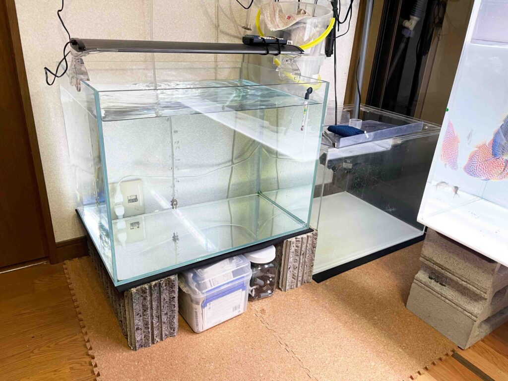 2私のディスカス飼育装備（水槽編）2024版 | 熱帯魚ディスカスブログ